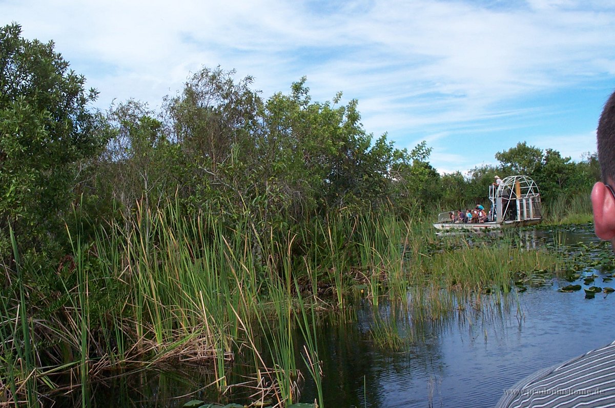 568 - Everglades - Airboat