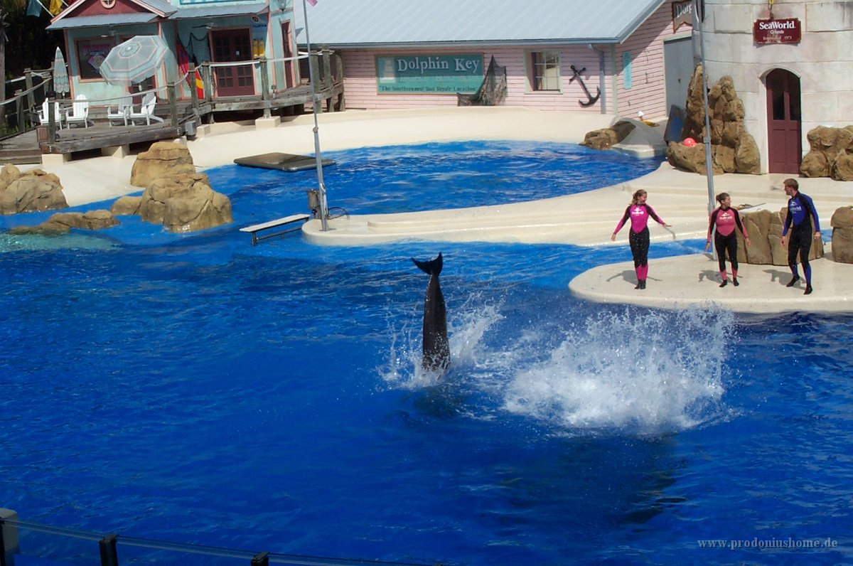 677 - Seaworld - Keywest Dolphin Stadium