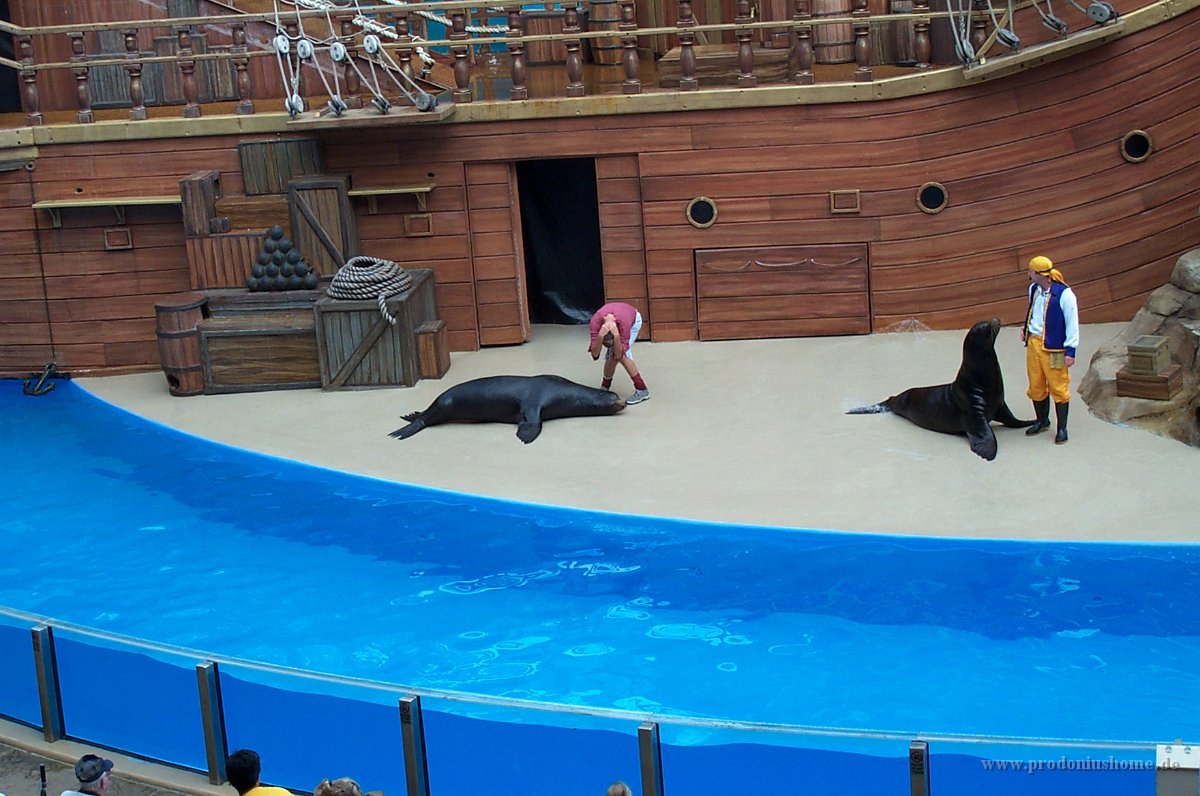 693 - Seaworld - Sealion & Otterstadium