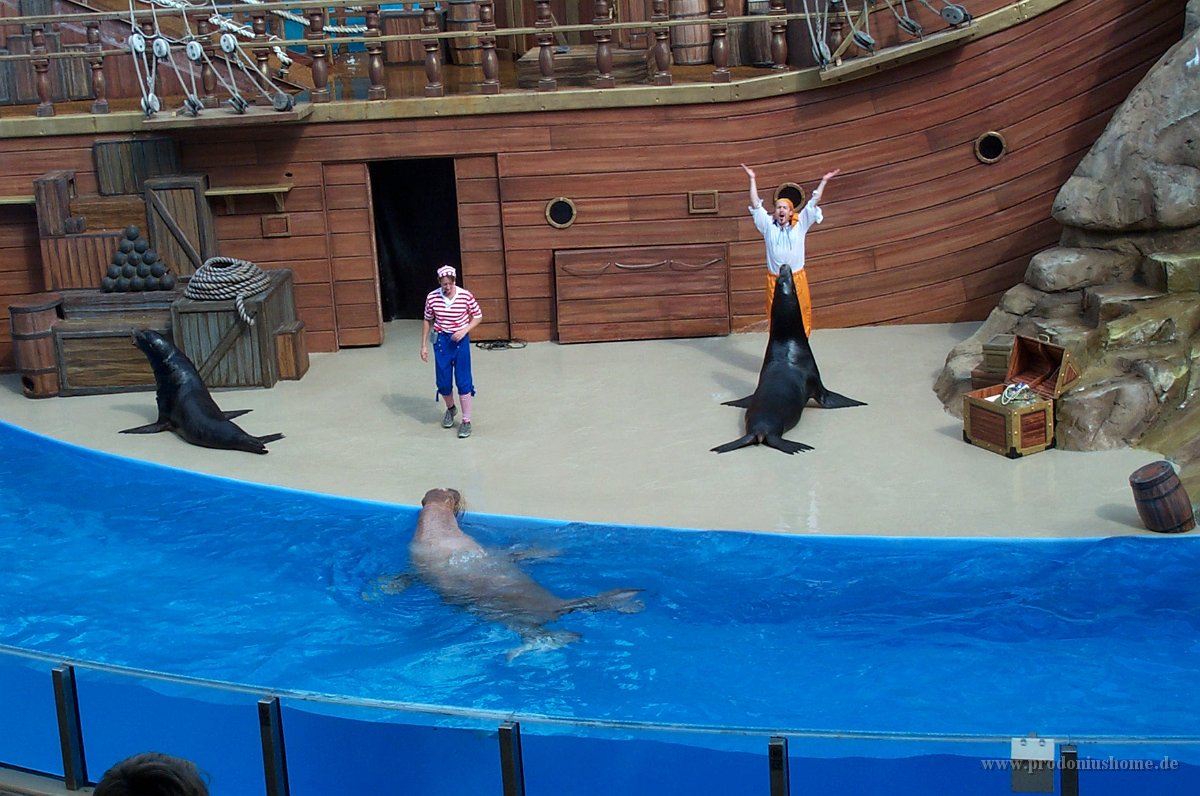 695 - Seaworld - Sealion & Otterstadium