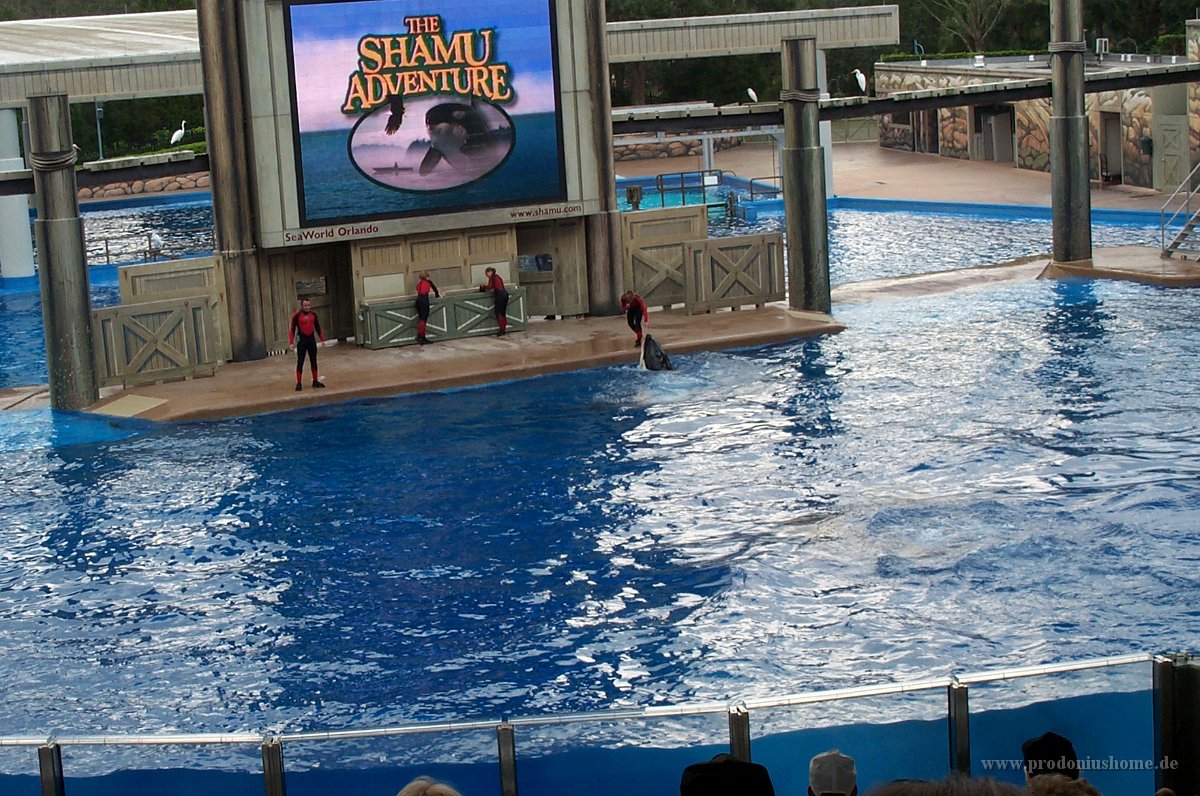 698 - Seaworld - Shamu Stadium