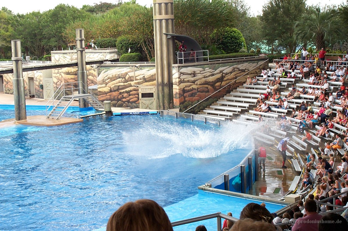 700 - Seaworld - Shamu Stadium - Splashzone (siehe Trainer mit Regenschirm)