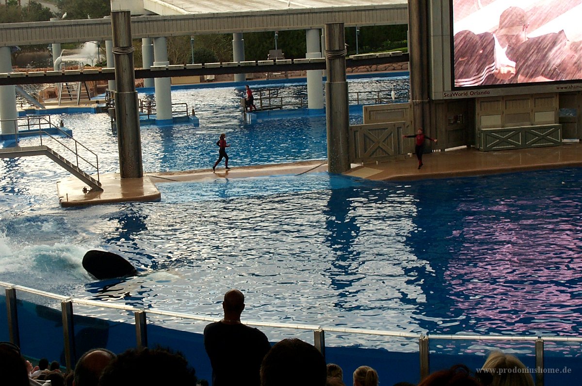 704 - Seaworld - Shamu Stadium (siehe Bildschirm - Splashzone)