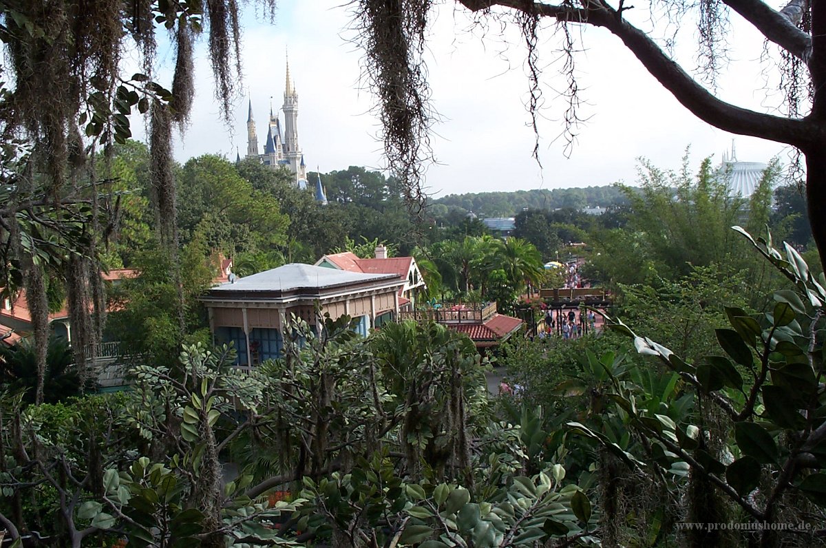 773 - Magic Kingdom