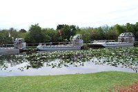 552 - Everglades - Airboat