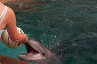 640 - Seaworld - Dolphin Cove.jpg