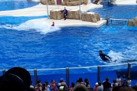 679 - Seaworld - Keywest Dolphin Stadium.jpg