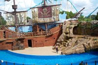 690 - Seaworld - Sealion & Otterstadium.jpg