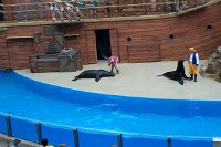 693 - Seaworld - Sealion & Otterstadium.jpg