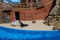 694 - Seaworld - Sealion & Otterstadium.jpg