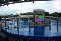 696 - Seaworld - Shamu Stadium