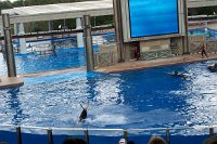 697 - Seaworld - Shamu Stadium