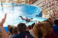 699 - Seaworld - Shamu Stadium.jpg