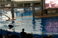 704 - Seaworld - Shamu Stadium (siehe Bildschirm - Splashzone).jpg