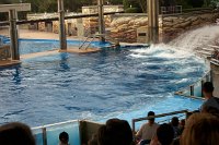 706 - Seaworld - Shamu Stadium - Splashzone.jpg