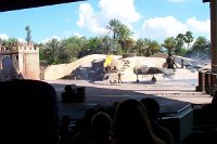 842 - MGM - Indiana Jones Stunt Spectacular.jpg