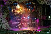 905 - Animal Kingdom - Tarzan Rocks.jpg