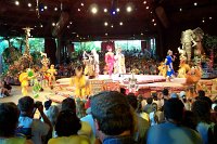 912 - Animal Kingdom - Lion King.jpg