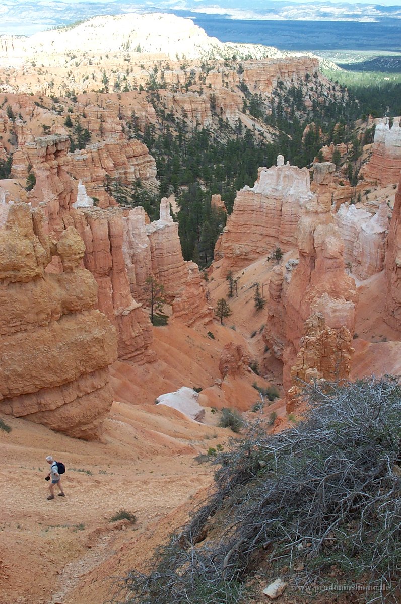 1268 - Bryce Canyon