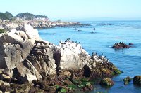 1108 - 17-Mile Drive.jpg