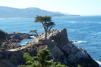 1110 - 17-Mile-Drive.jpg