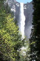 1174 - Yosemite