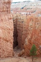 1261 - Bryce Canyon