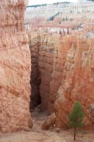 1261 - Bryce Canyon.jpg