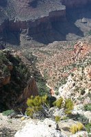 1336 - Grand Canyon.jpg