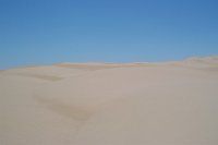 1356 - Weg von Phoenix nach San Diego - Wüste