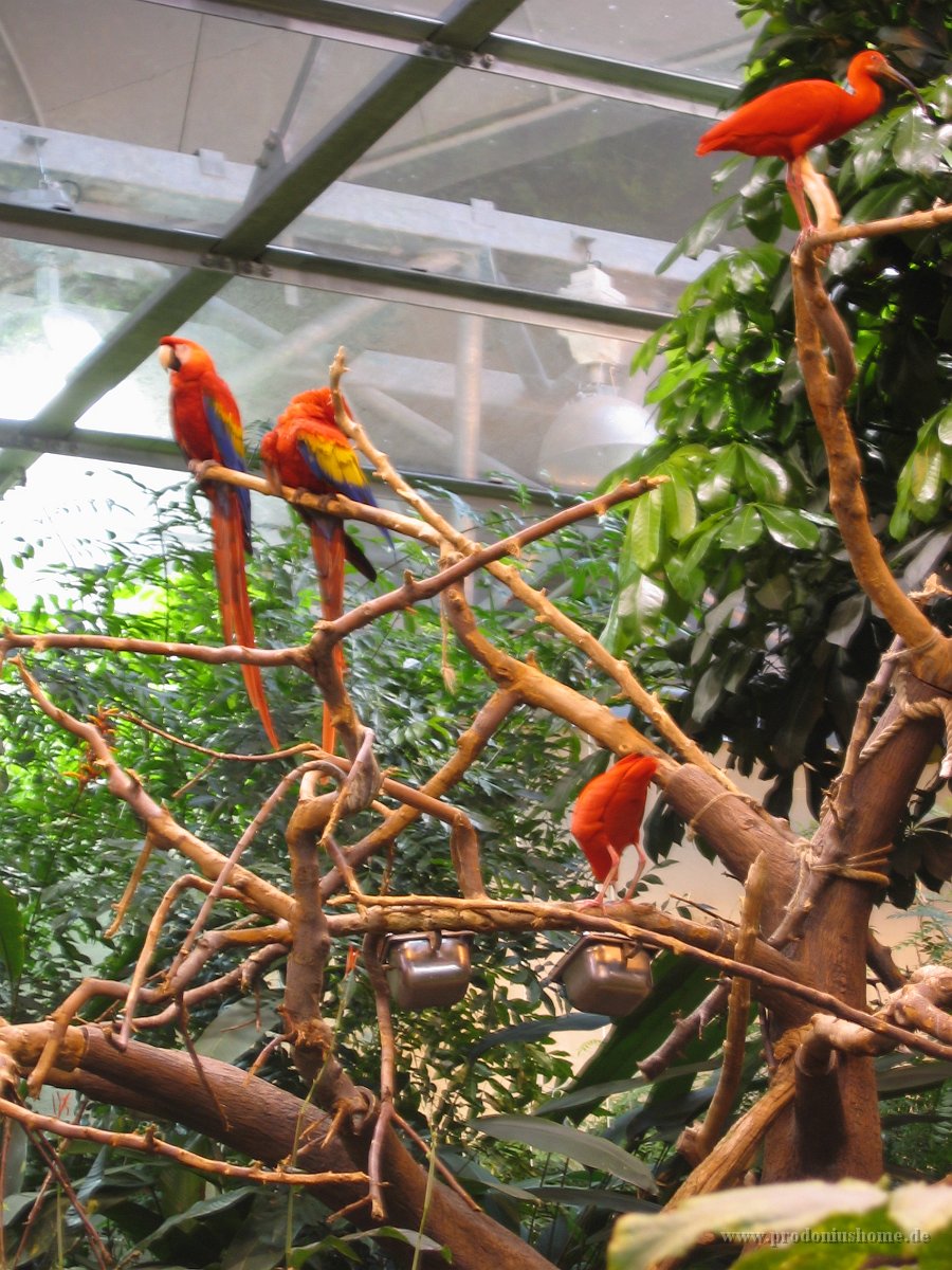 307 - Montreal - Biodome