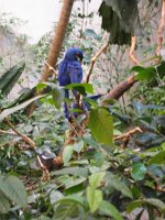 308 - Montreal - Biodome.JPG