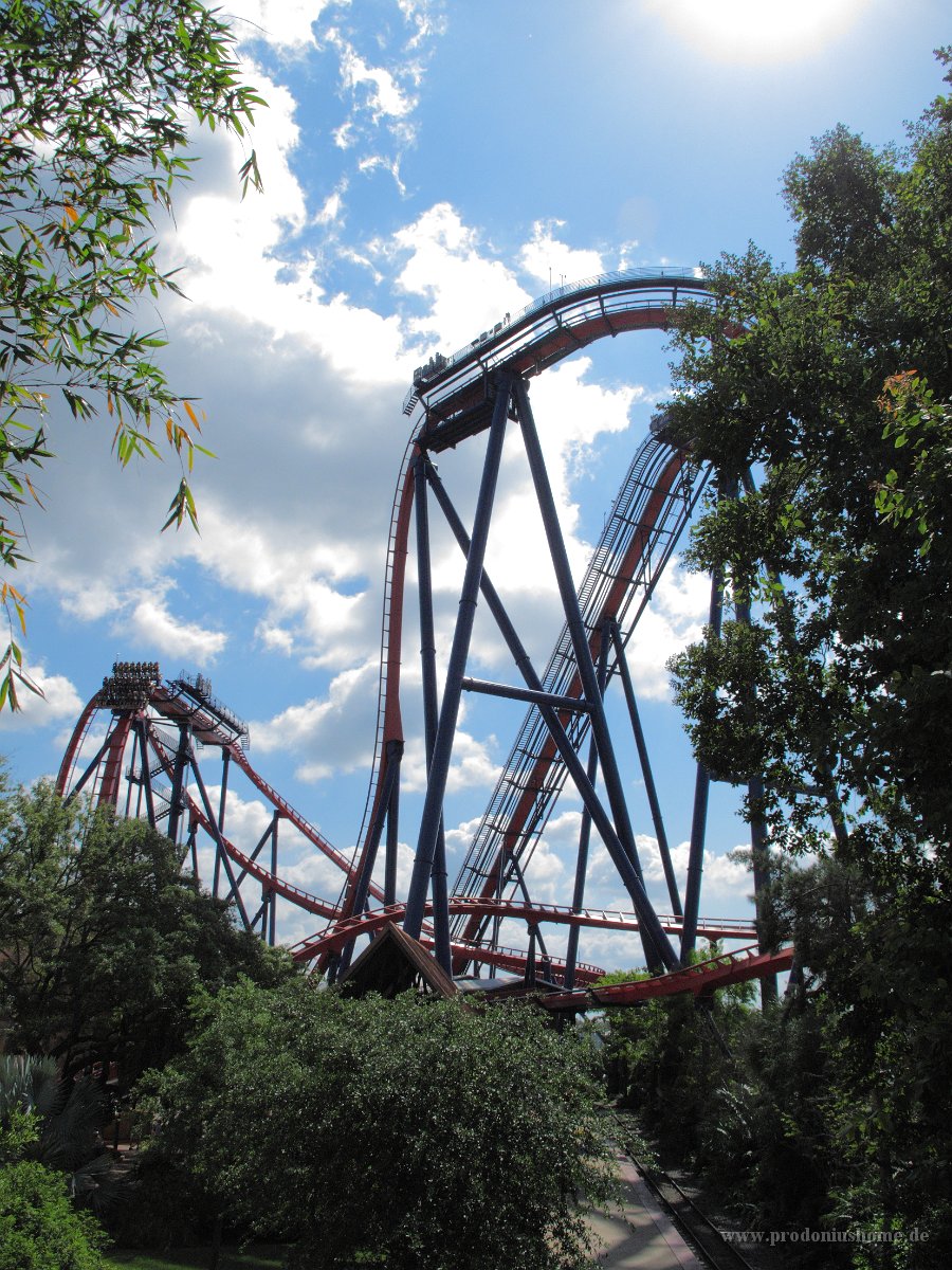 IMG 0361 - Bush Gardens - Sheikra