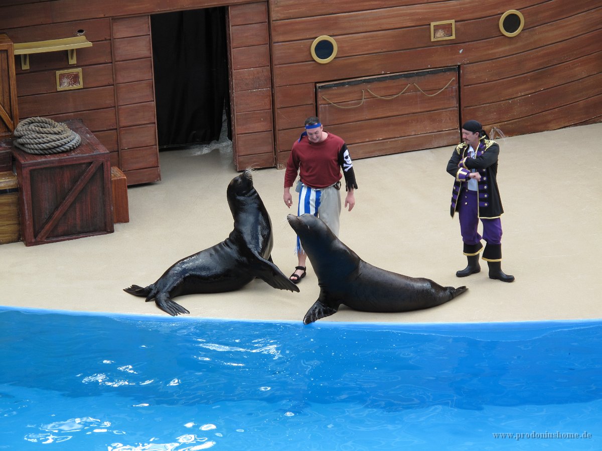 IMG 0709 - Seaworld - Sea Lion & Otter Stadium - Clyde and Seamore