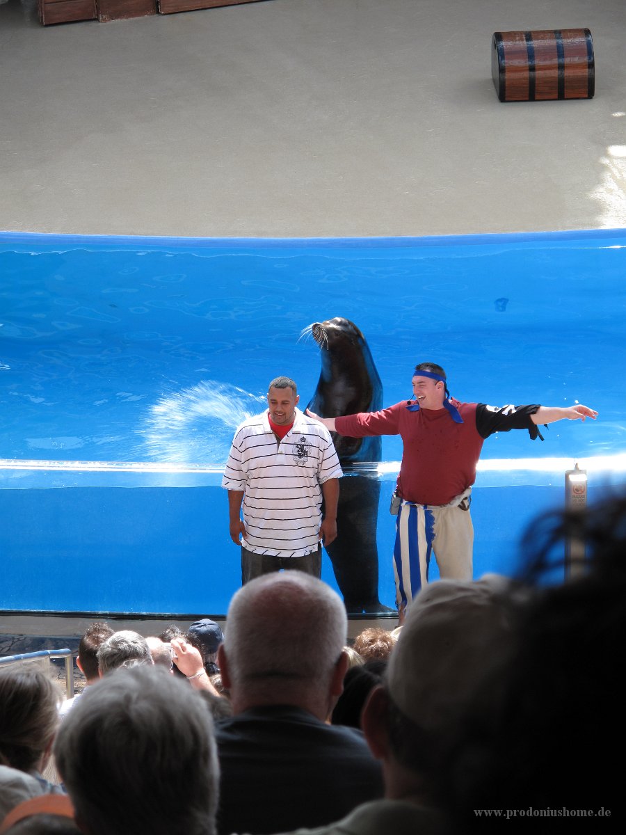 IMG 0711 - Seaworld - Sea Lion & Otter Stadium - Clyde and Seamore