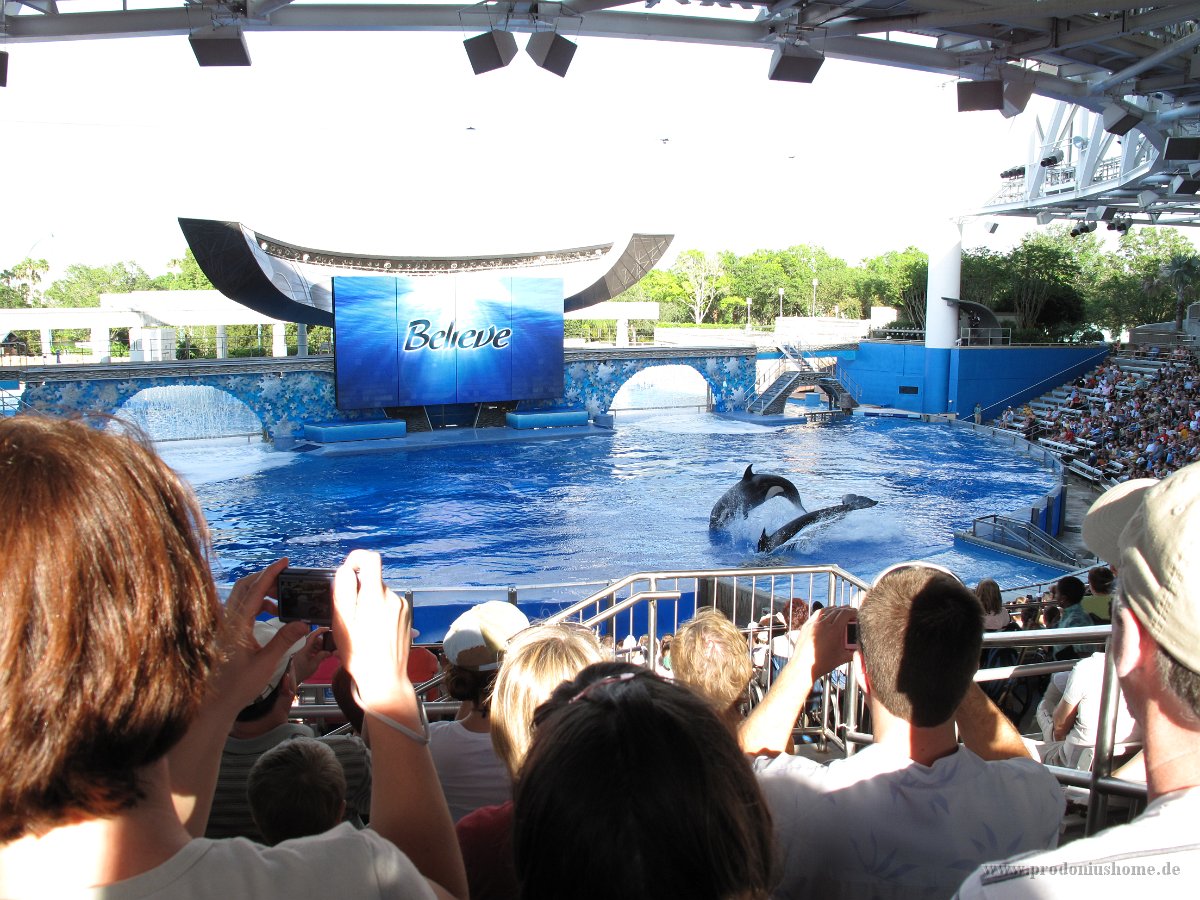 IMG 0810 - Seaworld - Shamu Stadium - Believe