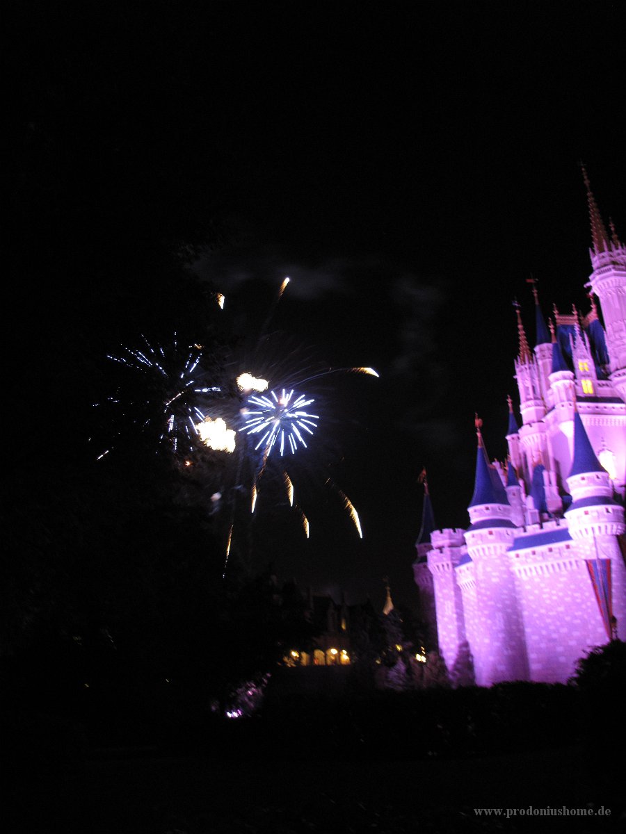 IMG 0950 - Disney Magic Kingdom - Wishes