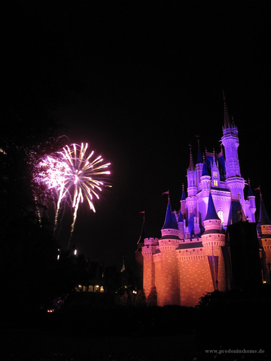 IMG 0959 - Disney Magic Kingdom - Wishes