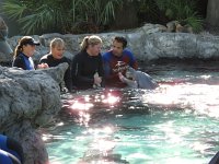 IMG_0663 - Seaworld - Dolphin Cove.JPG