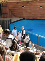 IMG 0700 - Seaworld - Sea Lion & Otter Stadium - Clyde and Seamore