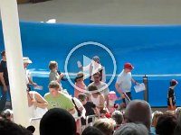IMG_0703 - Seaworld - Clyde and Seamore.MP4