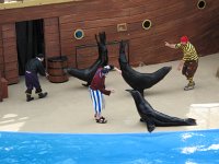 IMG_0714 - Seaworld - Sea Lion & Otter Stadium - Clyde and Seamore.JPG