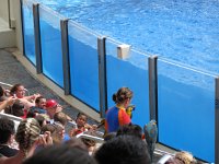 IMG 0730 - Seaworld - Whale & Dolphin Theater - Blue Horizons