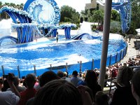 IMG 0731 - Seaworld - Whale & Dolphin Theater - Blue Horizons