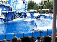 IMG 0732 - Seaworld - Whale & Dolphin Theater - Blue Horizons