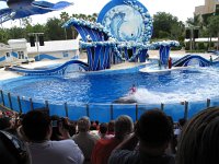IMG 0735 - Seaworld - Whale & Dolphin Theater - Blue Horizons