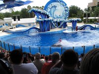 IMG_0735 - Seaworld - Whale & Dolphin Theater - Blue Horizons.JPG