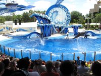 IMG 0736 - Seaworld - Whale & Dolphin Theater - Blue Horizons