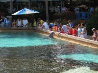 IMG_0788 - Seaworld - Dolphin Cove.JPG