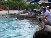 IMG 0803 - Seaworld - Dolphin Cove